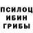 Галлюциногенные грибы прущие грибы Majid Jovliyev