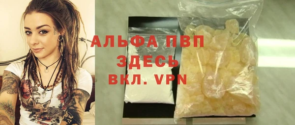 дмт Новокубанск