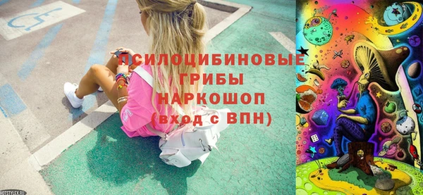 apvp Новодвинск