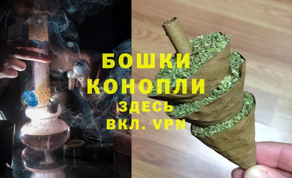 дмт Новокубанск