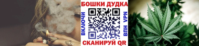 где можно купить наркотик  Ковдор  Бошки марихуана семена 